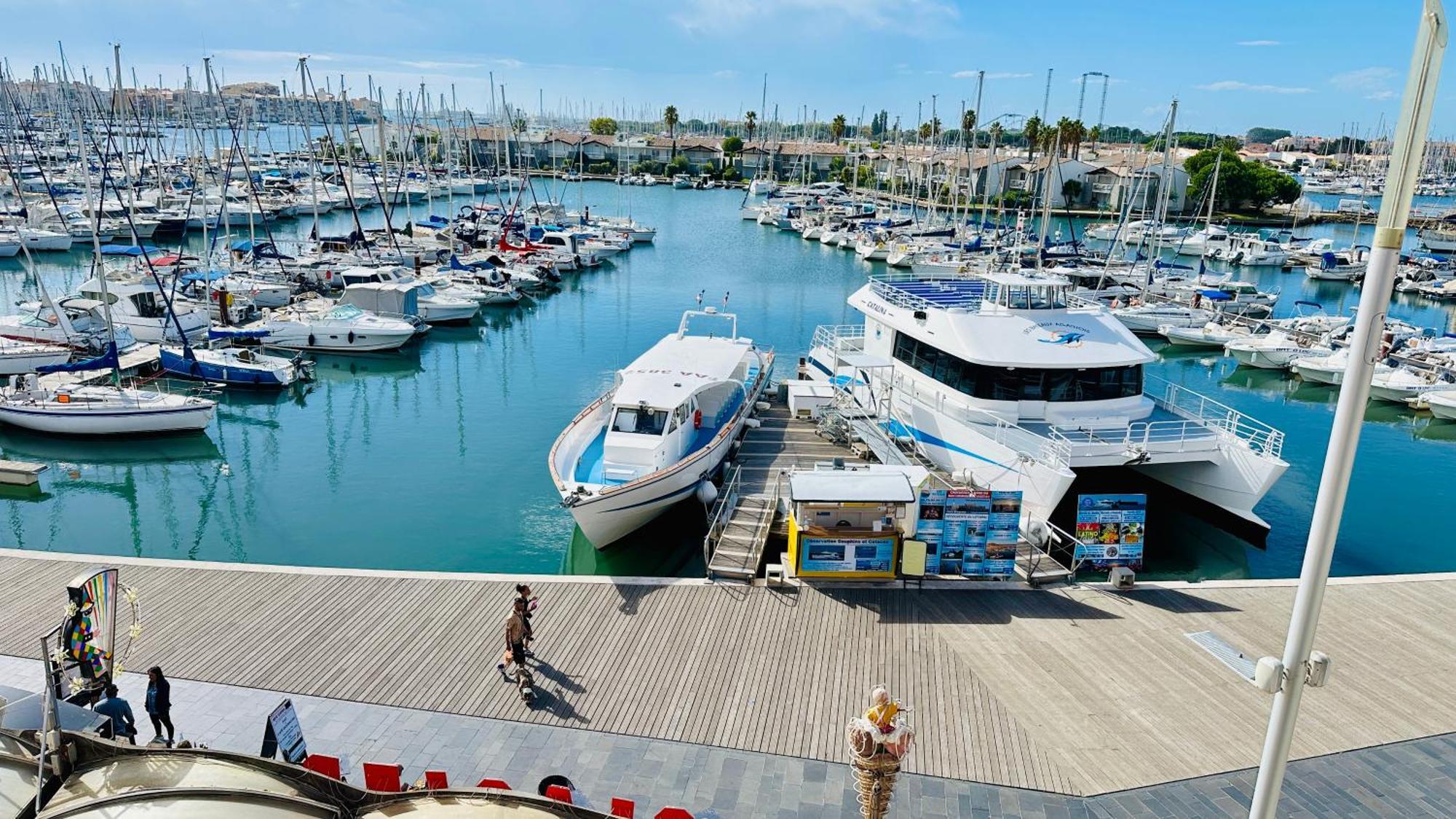Studio Face Au Port Agde Luaran gambar